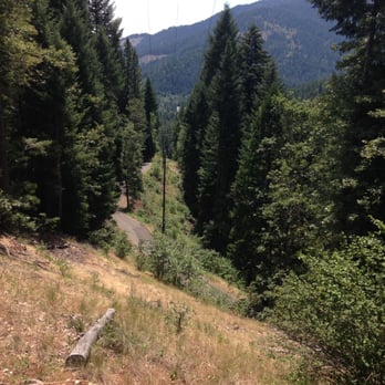 Castle Crags State Park - One way road that people were driving way too fast on. - Parks Near Me - Castella, California Castle Crags State Park - One way road that people were driving way too fast on. - Parks Near Me - Castella, California