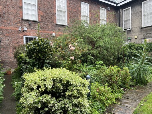 Marsh’s Library by null