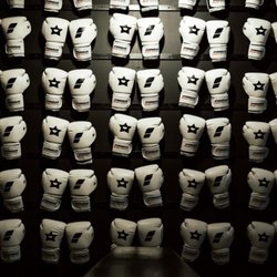 Panda Boxing