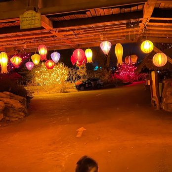Denver Zoo Lights - Festivals Near Me - Denver, Colorado