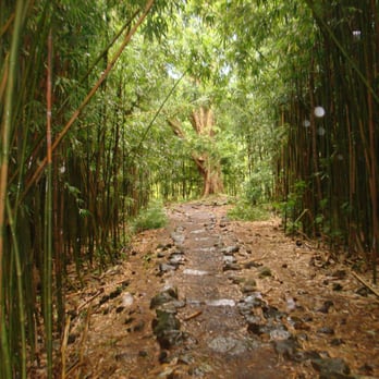 Pipiwai Trail - The trail - VN - Hiking Near Me - Hana,, Hawaii