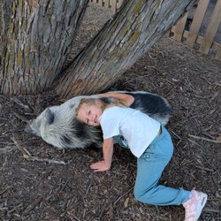 Cathy's Critters - Pig naps