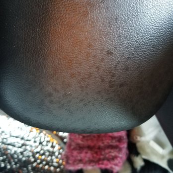 Ziebart - Auto Detailing Near Me - Dayton, Ohio
