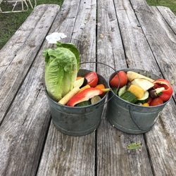 Keystone Farmers Market - Food For The cows