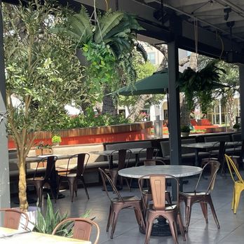 True Food Kitchen - Outdoor seating - New American Near Me - Austin, Texas True Food Kitchen - Outdoor seating - New American Near Me - Austin, Texas
