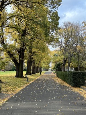 Fitzroy Gardens by null