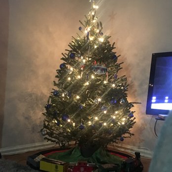 Christmas Tree Brooklyn - The perfect 5 foot tree - Christmas Trees Near Me - Brooklyn, New York