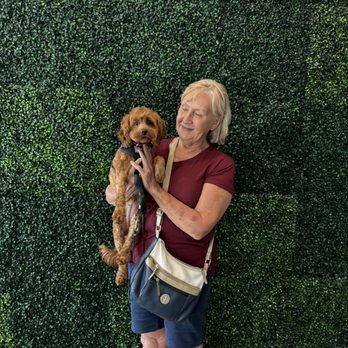Top Dog - Pet Groomers Near Me - Stuart, Florida Top Dog - Pet Groomers Near Me - Stuart, Florida