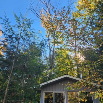 Big Foot Tree Care - Remove dieing Red maple over bunkie - Tree Services Near Me