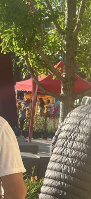 Burbank Farmers Market by null