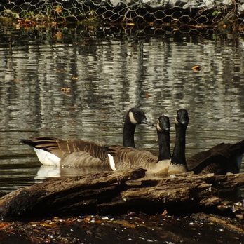 Lake Waterford Park - We are family. Taken by Avionna Desh. - Lakes Near Me - Pasadena, Maryland