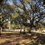 Photo of Schwartz Park