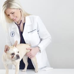 Town & Country Animal Hospital