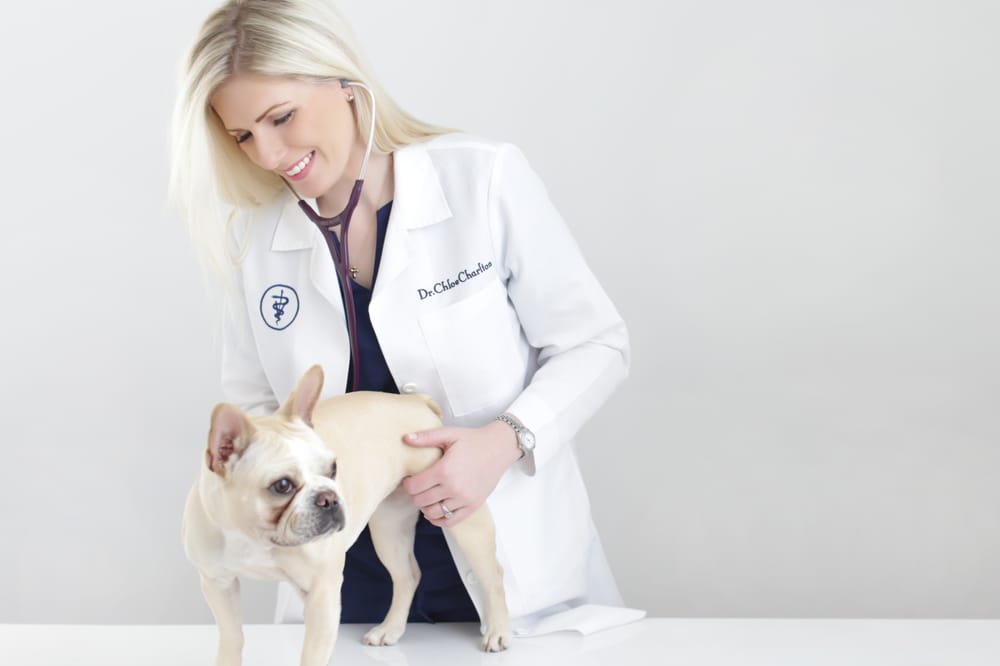 Town & Country Animal Hospital - pet boarding facility in Little Rock, AR