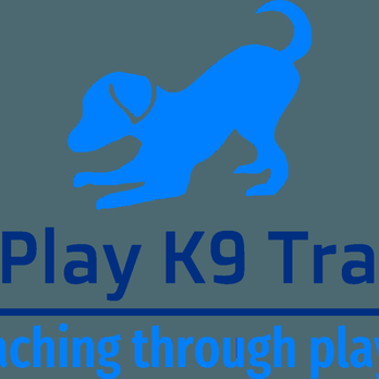 TeamPlay K9 Training - K9 Training - Pet Training Near Me TeamPlay K9 Training - K9 Training - Pet Training Near Me