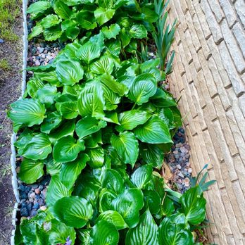 Zumbro Valley Landscaping - a garden with a brick wall - Landscaping Near Me - Wanamingo, Minnesota Zumbro Valley Landscaping - a garden with a brick wall - Landscaping Near Me - Wanamingo, Minnesota