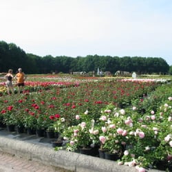 Rosarium