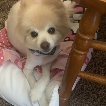 Snooty Pets - Pet Stores Near Me - Las Vegas, Nevada Snooty Pets - Pet Stores Near Me - Las Vegas, Nevada