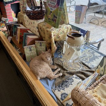 Wild Rumpus - Cat by the window - Bookstores Near Me - Minneapolis, Minnesota