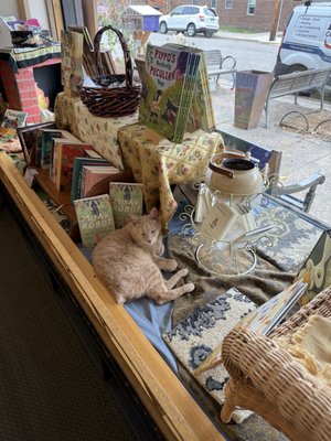 Wild Rumpus Books by null