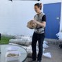 Photo of Gruger Family Fungi