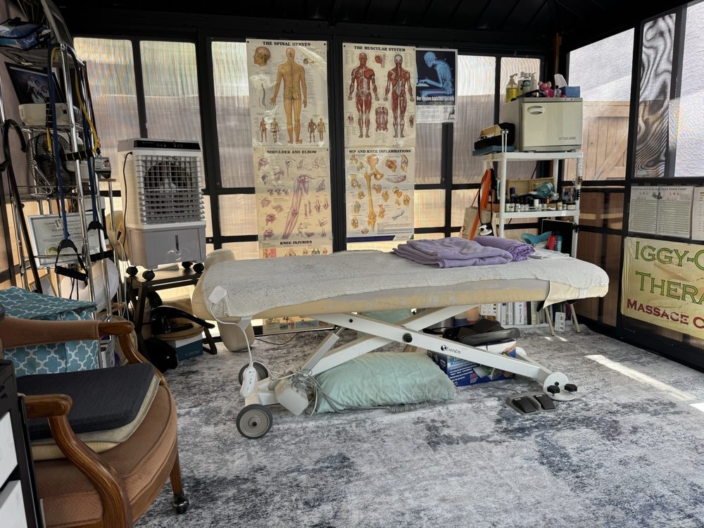 Iggy One Therapy Massage Center Logo