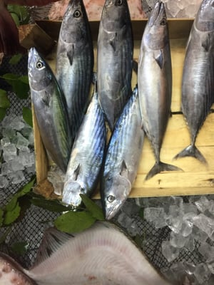 Balıkçı Kahraman by null