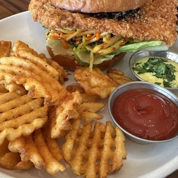Tesota - Chicken Katsu - Comfort Food Near Me - Phoenix, Arizona