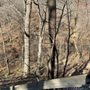 Photo of Fults Hill Prairie Nature Preserve