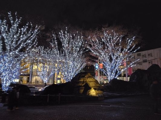 The Oak Door by null