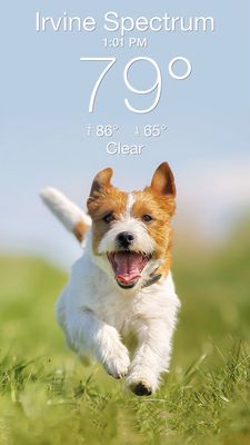 Irvine Spectrum Center by null