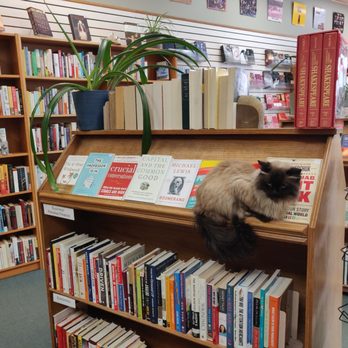 Wee Book Inn - Bookstores Near Me - Edmonton, Alberta Wee Book Inn - Bookstores Near Me - Edmonton, Alberta