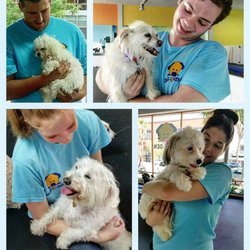 Dog-E-Den Hollywood - Cuddle time with our Dog-E-Den Handlers