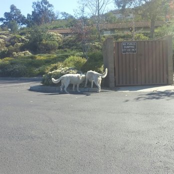 Jack's Pond Park - Parks Near Me - San Marcos, California