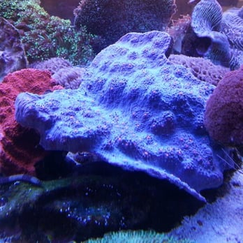 Oltre Natura - Pet Stores Near Me - Rome, RM Oltre Natura - Pet Stores Near Me - Rome, RM