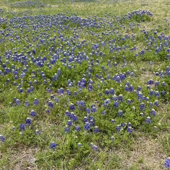 Brushy Creek Lake Park - Playgrounds Near Me - Austin, Texas Brushy Creek Lake Park - Playgrounds Near Me - Austin, Texas