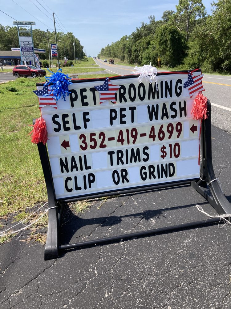ALL FUR PAWS GROOMING Updated September 2024 19 Photos 4443 S