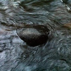 Chequamegon-Nicolet National Forest