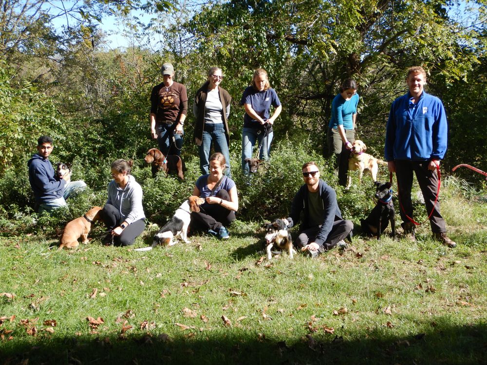 PEACEABLE PAWS Updated June 2024 13 Photos 17816 Spielman Rd