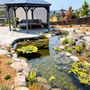 Photo of Sweetwater Landscape