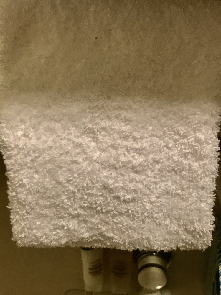 Pubic Hair On Towel Yelp