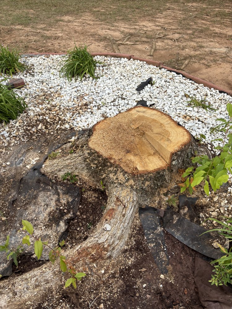 Bust Em Down Tree Services - tree service in Huntsville, AL