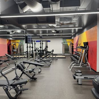 Pulse Fitness - Free weights, squat rack, and benches - Gyms Near Me - Houston, Texas Pulse Fitness - Free weights, squat rack, and benches - Gyms Near Me - Houston, Texas