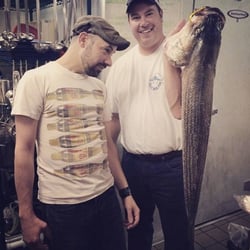 Rocky Neck Fish