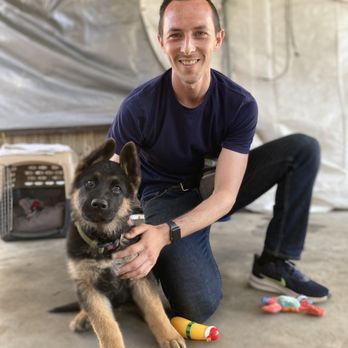 Timothy Flanagan - Pet Training Near Me Timothy Flanagan - Pet Training Near Me