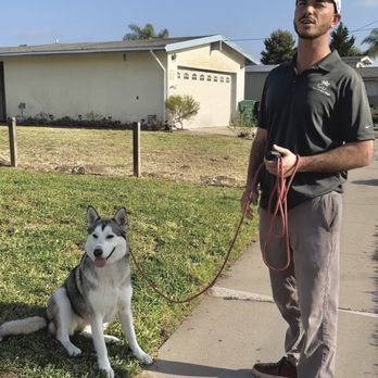 The Noble Dogs - Grant is always very engaging when teaching owners helpful tips. I always felt well equipped with the knowledge I needed. - Pet Training Near Me - San Diego, California The Noble Dogs - Grant is always very engaging when teaching owners helpful tips. I always felt well equipped with the knowledge I needed. - Pet Training Near Me - San Diego, California