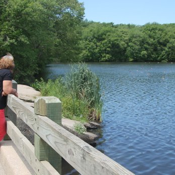Southard's Pond - Spectators - Lakes Near Me - Babylon, New York
