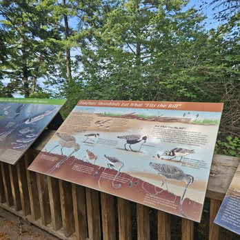 Dungeness National Wildlife Refuge - Information about the animals - Parks Near Me - Sequim, Washington