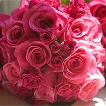 Deja Vu Floral Design - Floral Designers Near Me - Montgomery, New York Deja Vu Floral Design - Floral Designers Near Me - Montgomery, New York