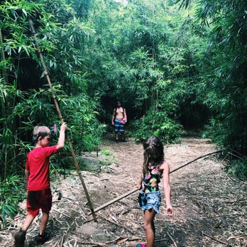 Judd Trail - Hiking Near Me - Honolulu, Hawaii